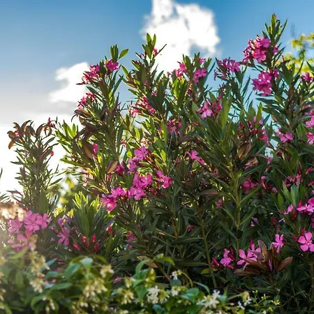 The Whitestone Apartamento