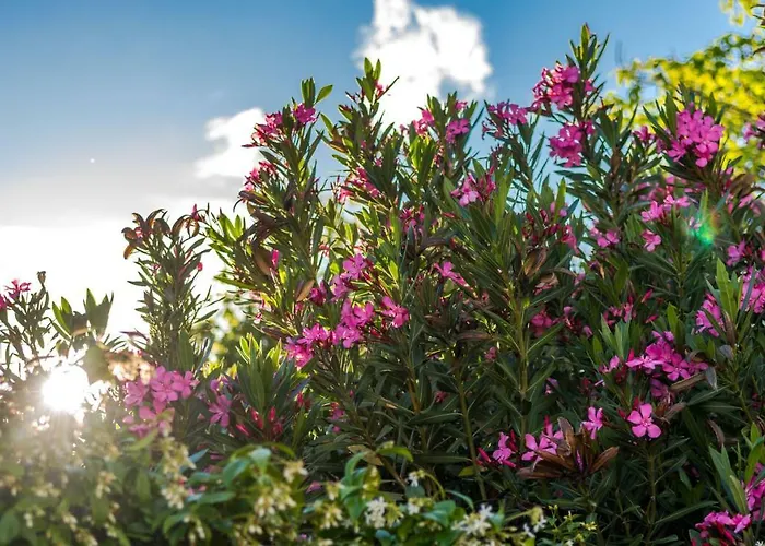 The Whitestone Lägenhet